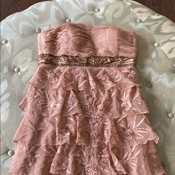 Sue Wong Dresses | Sue Wong Beaded Dress | Color: Pink | Size: 12 | Philaconsign's Closet